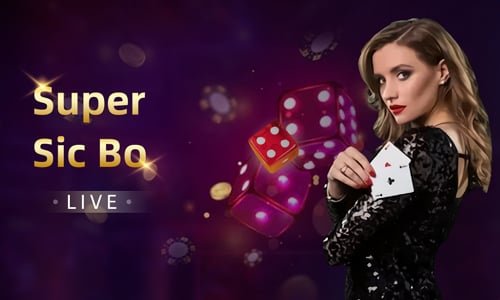 1333 Cricket Live Odds